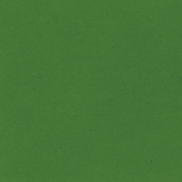 Papier Bazzill - BUTELKOWA ZIELEŃ - Gumdrop 30x30 cm - Bazzil - 1